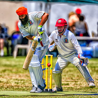 2019 Napa Valley Cricket Club